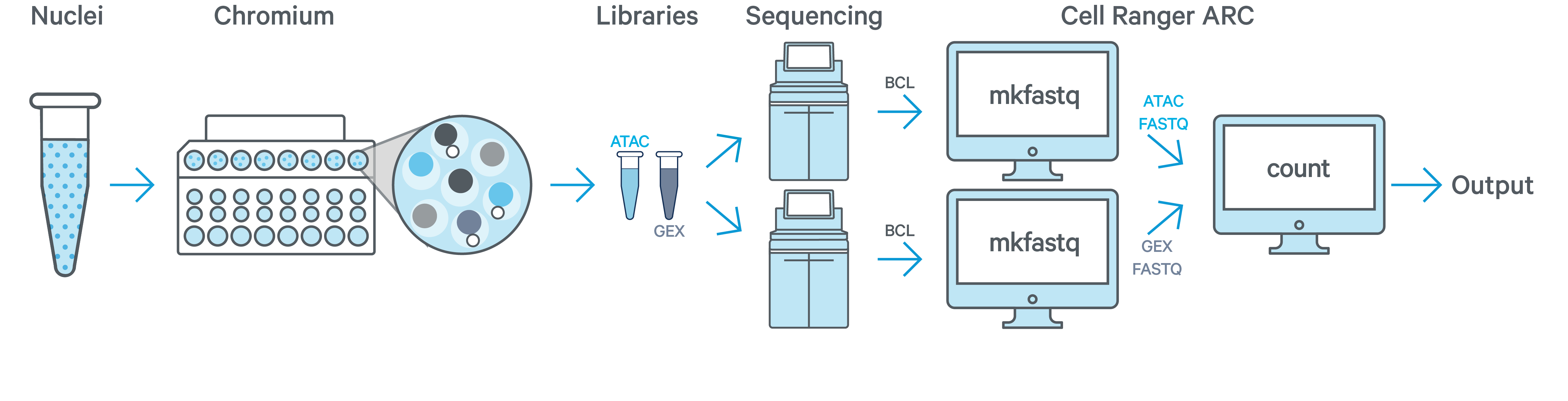 what-is-cell-ranger-arc-software-single-cell-multiome-atac-gene