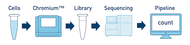 Single Sample, Library, and Flowcell